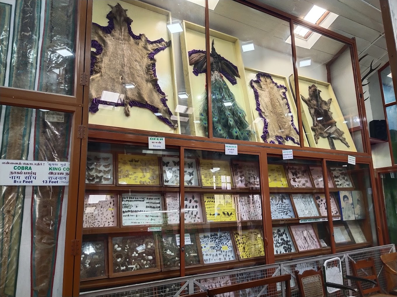 Museums At Kodaikanal